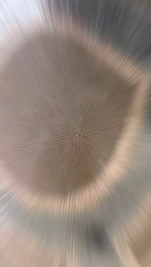 Hair Toupee mono skin lace premium supermodel 4 back mono