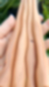 once pipa klokotan kayu Cendana wangi A605