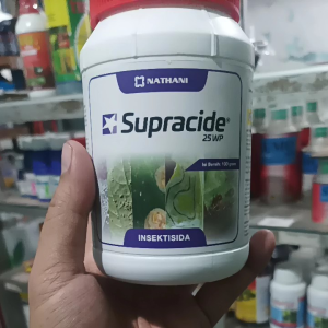 insektisida supracide | metidation pengendali kutu daun dan ulat sayuran