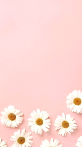 Bendera Segitiga Warna-Warni: Desain & Penggunaan