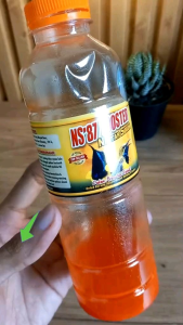 NS 87 BOOSTER JUARA VITAMIN NS87 BOOSTER SOGON DOPING LOMBA BURUNG SOGON KONIN KOLIBRI