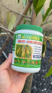 Kích đọt- bung chồi cực mạnh - cho cây sầu riêng