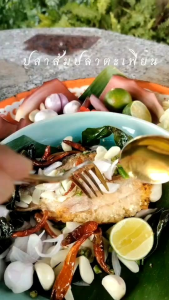 พิเศษ ฏปรโมชั่น ลดราคา ปลาส้ม ส่งฟรี ปลาตะเพียน – รสชาติเปรี้ยวพอดี กลิ่นหอมยั่วน้ำลาย! "ปลาร้าดีปลาร้าสิงห์บุรี" 🏡 ใช้ปลาตะเพียนสดๆ คัดเกรดพิเศษ