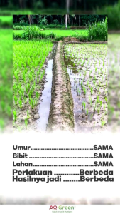 AQ Green Pupuk Organik Hayati Majemuk: Pupuk Bubuk Booster Hasil Panen untuk Semua Jenis Tanaman