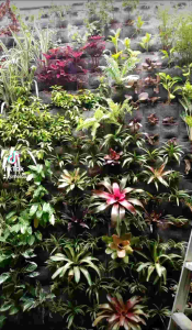 Karpet Vertical Garden Kantong 36 Non Woven Geotextile Glaswol