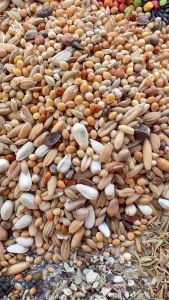 อาหารนกแก้ว สูตรพรีเมี่ยม 500กรัม