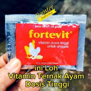 FORTEVIT 100 Gram Vitamin Ayam Dosis Tinggi Vitamin Unggas Vitamin Bebek Ayam Entog Soang Puyuh