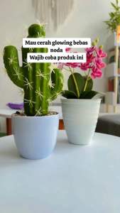 Perawatan Kulit Alami dengan Elcy Beauty BPOM