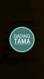 Stiker Emblem Mobil LIMITED EDITION Bahan METAL