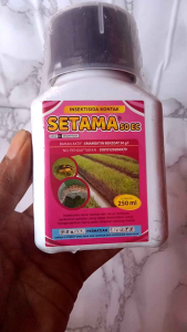 SETAMA 250EC 250ML PENGENDALI ULAT GRAYAK