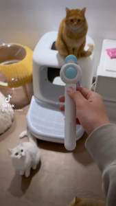 [HOT SALES] [SG STOCK]  2-in-1 Cat Toy Teaser & Laser !