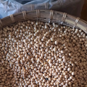 KACANG KEDELAI PUTIH KONSUMSI 1kg/1000g | KACANG KEDELAI PUTIH | WHITE SOY BEAN MURAH