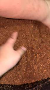 CM STERELIZED COCOPEAT/HIGH QUALITY - (FOR HYDROPONICSPLANTS AND TARANTULA PETS) GOOD QUALITY/WORTH THE MONEY