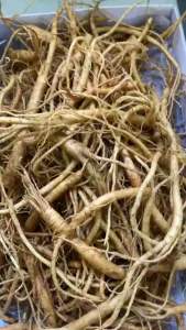 200gram Rễ Sâm Tươi Hàn Quốc Dùng Hầm Gà Nấu Sup Hãm Trà