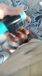 TAJI CANTOLAN BUAH SAWIT