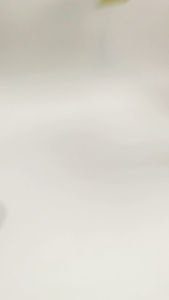 COMBO 40 CÁI CHÂN GÀ