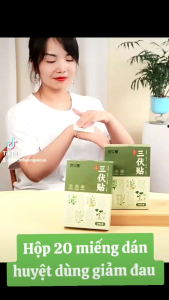 Hộp 20 miếng dán huyệt thảo dược ấm nhẹ dùng cho body giảm đau mỏi