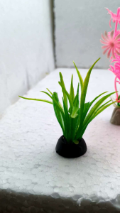 ต้นไม้น้ำจิ๋ว ตกแต่งโหลปลา ขนาด 1 นิ้ว สูง 2 นิ้ว