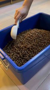 Premium Mixed Kibble Adult Cat Food 1kg