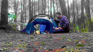 Cooking Set Ds 308 Nesting Alat Masak Camping Panci Teko