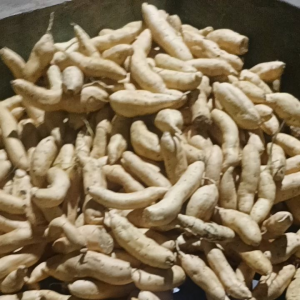 ubi v lembu uk sedang siap olah/kg