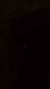 Kaos Jendral Wito Baju T-shirt Distro Darah Ini Merah Jendral Kaos Pria & Wanita Premium