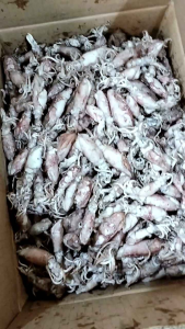 Ikan Asin Cumi/Sotong Rebus Size Sedang Super