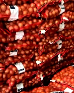 BAWANG PUTIH BESAR RP 9.000 / 250 GRAM