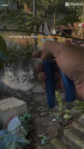 Kéo cắt cành tỉa cây siêu bén SENKA cán xanh lưỡi SK5 - 7"/175mm