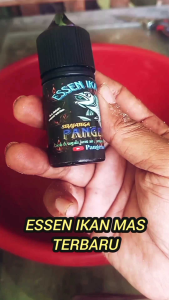 Essen Siraja Tega Pangeran Buteu Aroma Anggur Cabe Melati