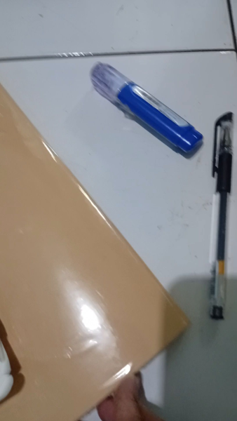 Buyer review video 2
