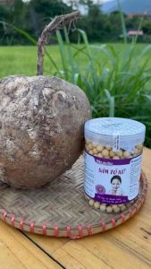 [CHÍNH HÃNG] Sâm Tố Nữ Dạng Viên Tiện Dụng Hiệu Quả Của Nhà Tây Bắc Shop 99