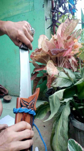 Golok super tajam DZ