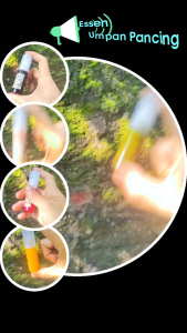 ESSEN IKAN MAS IKAN NILA IKAN LELE IKAN PATIN IKAN BAWAL MEREK ALKAIL ESSEN UMPAN PANCING UNTUK GALATAMA GALAPUNG KILOGEBRUS. COCOK UNTUK SIANG MAUPUN MALAM DAN SEMUA KONDISI AIR AMBER KATILAYU DAUN GIRANG GIRANG BUNGA PAGODA MERAH ESSEN BIANG DHA