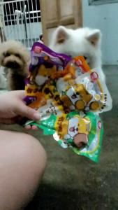 【𝗥𝗘𝗔𝗗𝗬 𝗦𝗧𝗢𝗖𝗞 现货】 地狱厨房·丽可棒 宠物磨牙棒 HELLS KITCHER DOG DENTAL STICK 𝗘𝗫𝗣: