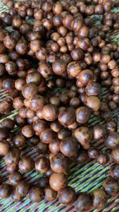 Vòng nu ngọc am hà giang thơm mạnh các loại.