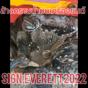 น้ำยาล้างห้องเครื่องยนต์ ล้างคราบน้ำมัน คราบจารบี ดินโคลน ซูมล้อ คราบเขม่า ไขมัน คราบไคลสีระเทียน หน้ายาง ล้างชุดข้าง โซ่สเตอร์ บริการสะอาด ถูกเสริมสร้างง่าย การแก้ไขสียางสายไฟ ขนาด 1 ลิตร