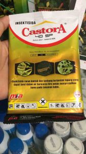 Insektisida Castora 40 SP 100 GR
