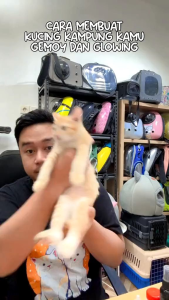 MAGPROFEED - VITAMIN KUCING 125GR | PENGGEMBUL ANABUL