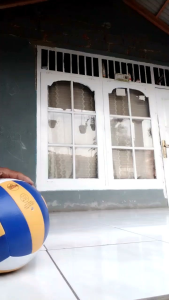 BOLA VOLI/VOLLY BALL MG2200 BERKUALITAS