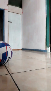 Bola voli/voli ball ukuran dewasa kualitas standar premium