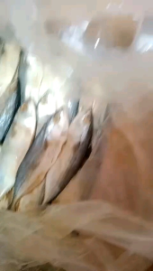 Ikan asin pesisir PEDA KEMBUNG PUTIH 1kg