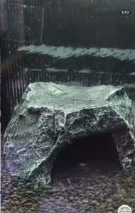 ถ้ำซ่อนตัวงานไฟเบอร์เรซิ่น(16*15*9cm)ตกแต่งตู้ปลาตู้สัตว์เลื้อยคลานตุ๊กแกกิ้งก่ากบงูตะขาบแมงมุม