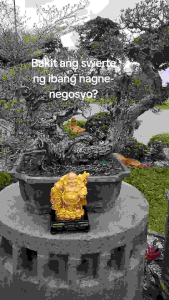 Feng Shui Golden Buddha Wealth Activator Manifestation Wishes Success Blessed Wealth Figurine