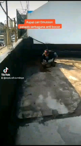 Kuas Cat Ijuk Khusus Aspal Cair 6 Inci