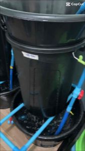 ถังเพาะถั่วงอกแถมสูตรเพาะ วิธีทำ เซ็ตทดลองพร้อมปลูก ชุดถัง+ถั่ว+ฮอร์โมน ครบเซ็ต ถูกสร้างขึ้นโดยบริษัท [บริษัทชื่อของคุณ]