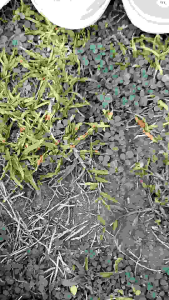 SANDAL RAJUT WANITA - SANDAL KICKERS - SANDAL RAJUT IMPORT BATIK TERBARU - SANDAL TRENDING