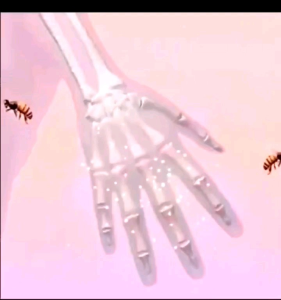 HÀNG N.KHẨU-Kem Bôi Xương Khớp Meniscus Pain Relief Ointment - Kem Nọc Ong MENISCUS Bôi Giảm Đau Nhức Mỏi Gối Cơ Vai Gáy