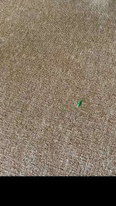 stelan set rajut polos 0-6 bulan versi terjangkau