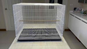 กรงนก ลวดเเบบหนา